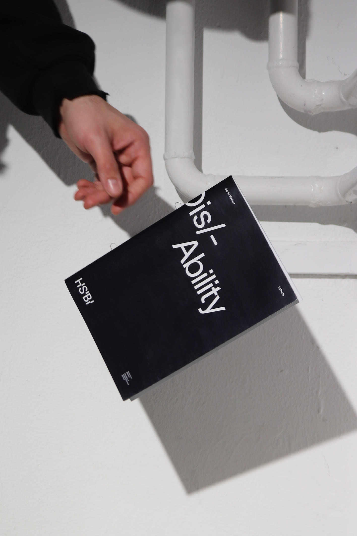 Dis/-Ability Hand Detail